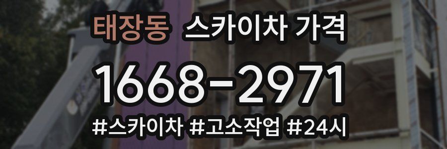 태장동 스카이차 가격