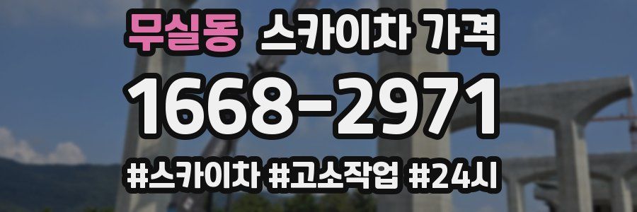 무실동 스카이차 가격