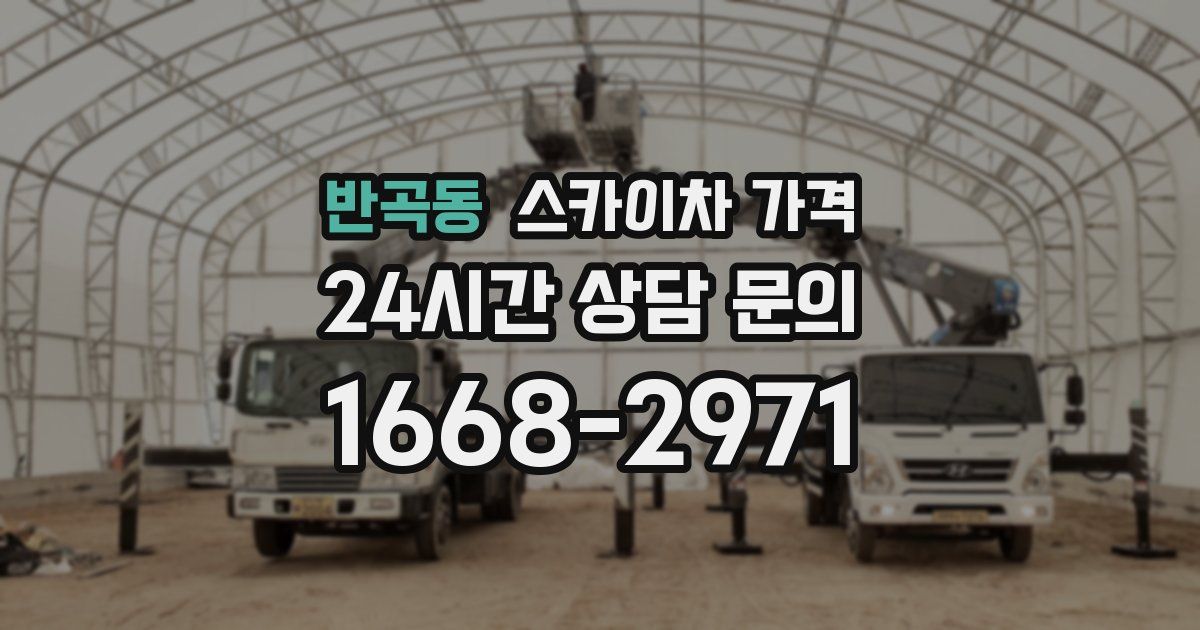 반곡동 스카이차 가격