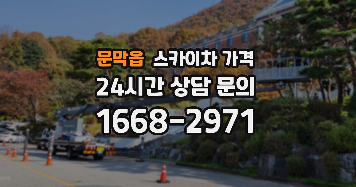 문막읍 스카이차 가격