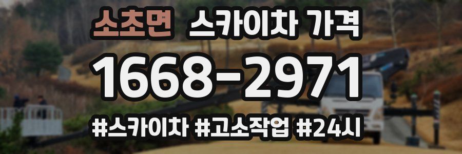 소초면 스카이차 가격