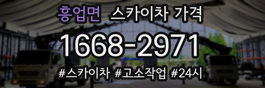 흥업면 스카이차 가격