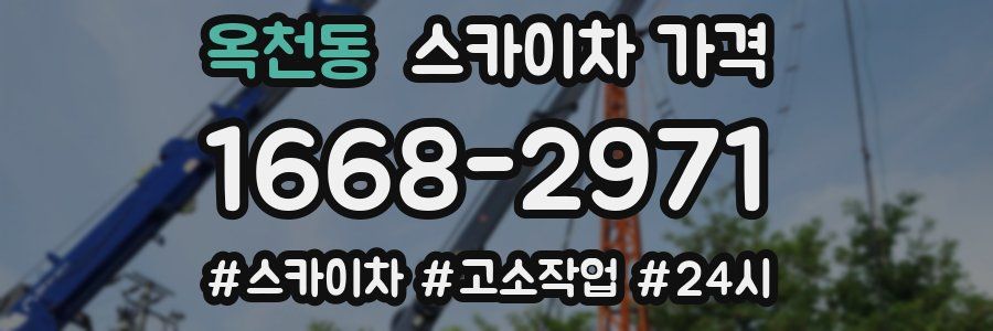 옥천동 스카이차 가격