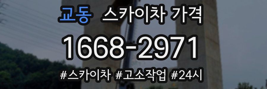 교동 스카이차 가격