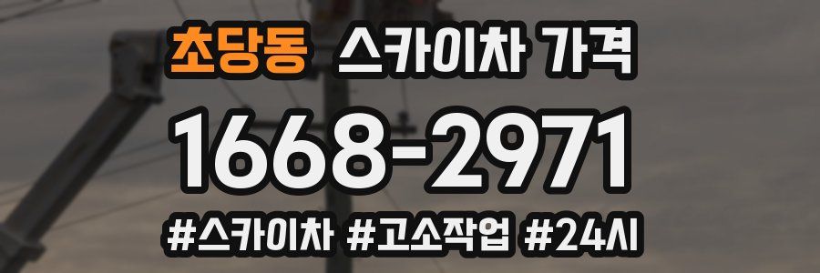 초당동 스카이차 가격