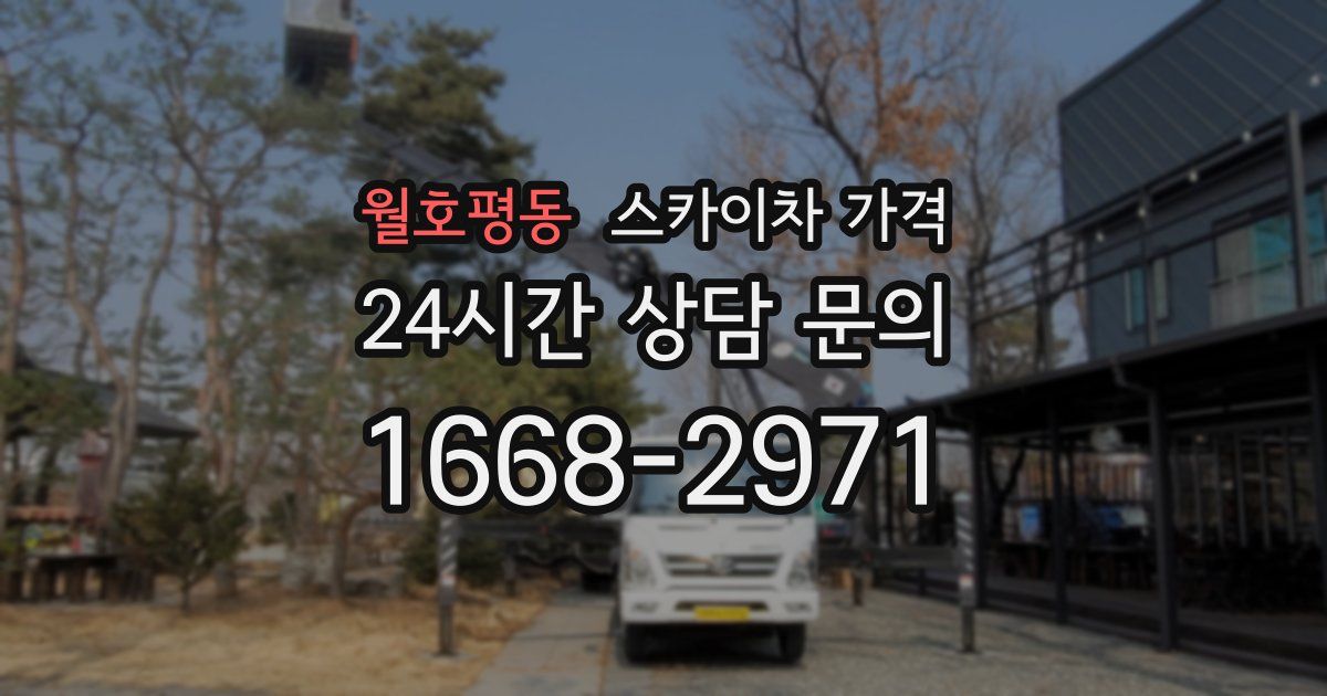 월호평동 스카이차 가격
