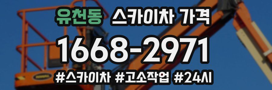 유천동 스카이차 가격