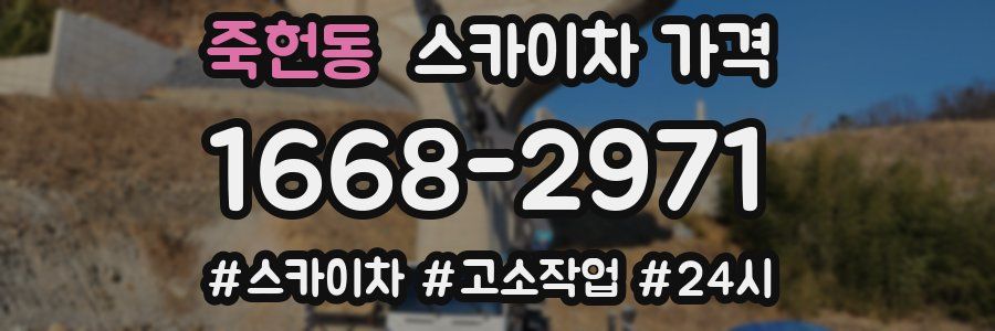 죽헌동 스카이차 가격