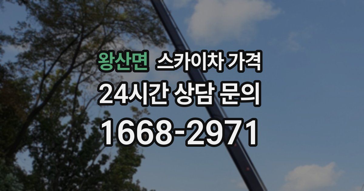 왕산면 스카이차 가격