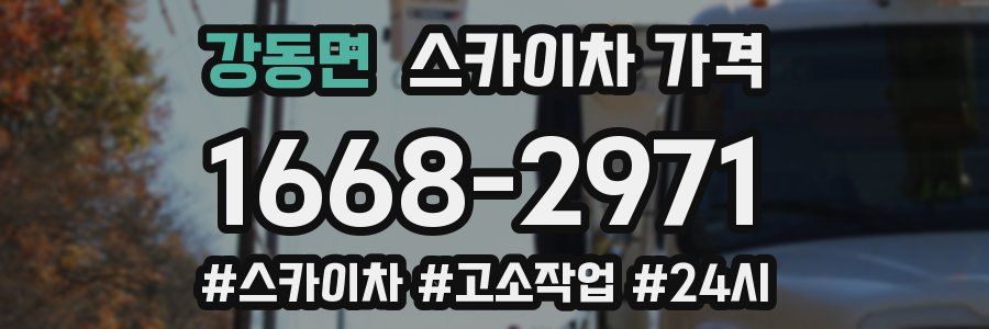 강동면 스카이차 가격