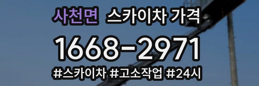 사천면 스카이차 가격