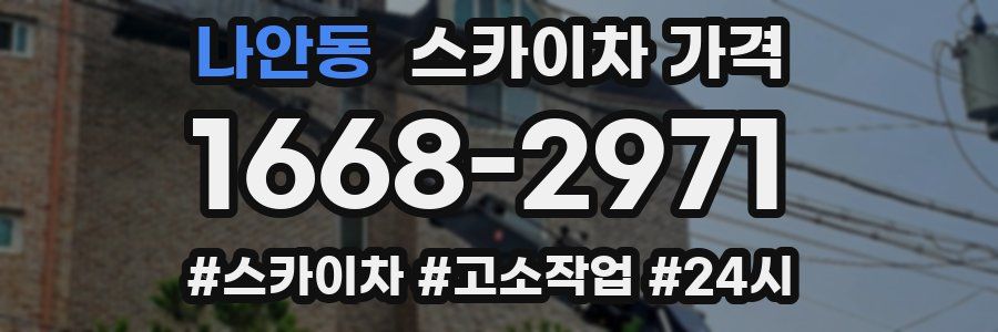 나안동 스카이차 가격