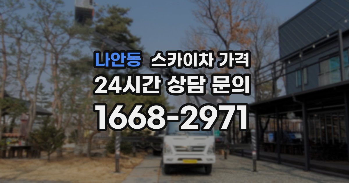 나안동 스카이차 가격