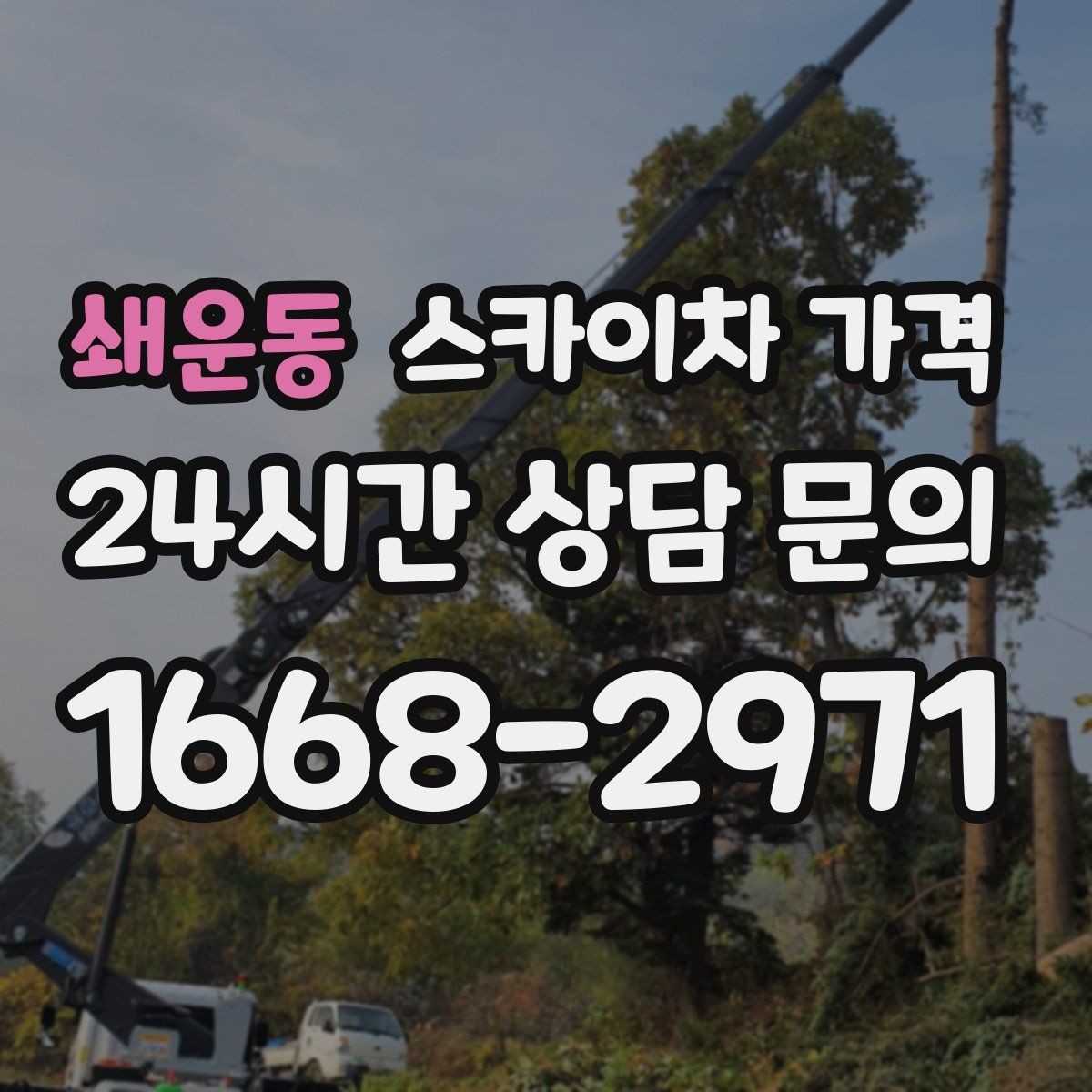 쇄운동 스카이차 가격 셋팅 시간이 오래 걸리는 현장 특징