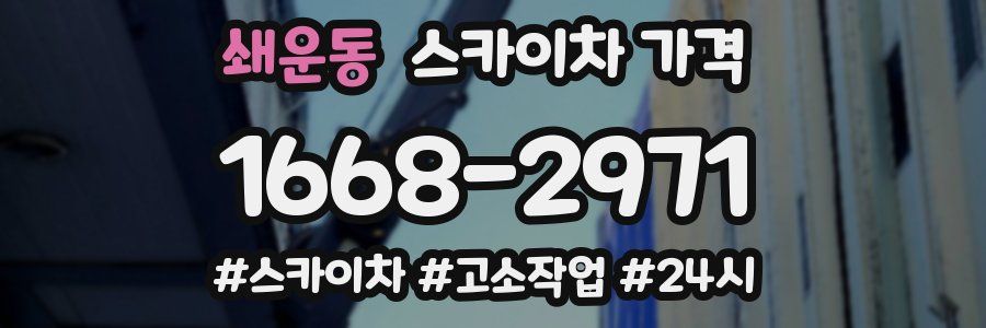 쇄운동 스카이차 가격