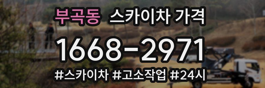 부곡동 스카이차 가격