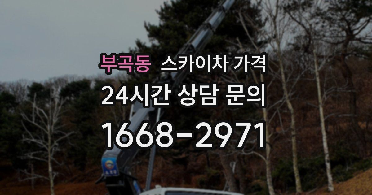 부곡동 스카이차 가격