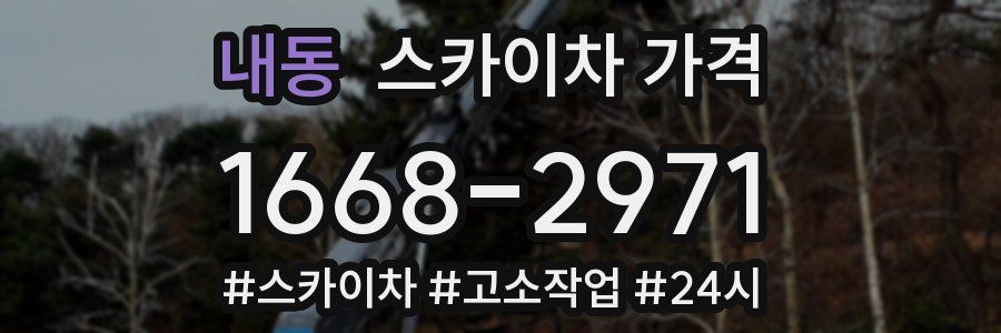 내동 스카이차 가격