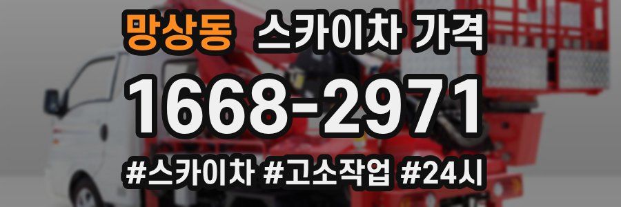 망상동 스카이차 가격