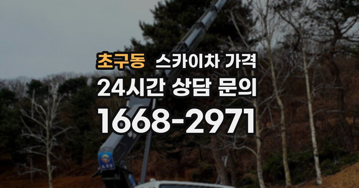 초구동 스카이차 가격