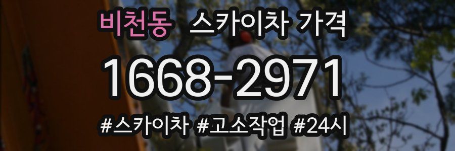 비천동 스카이차 가격