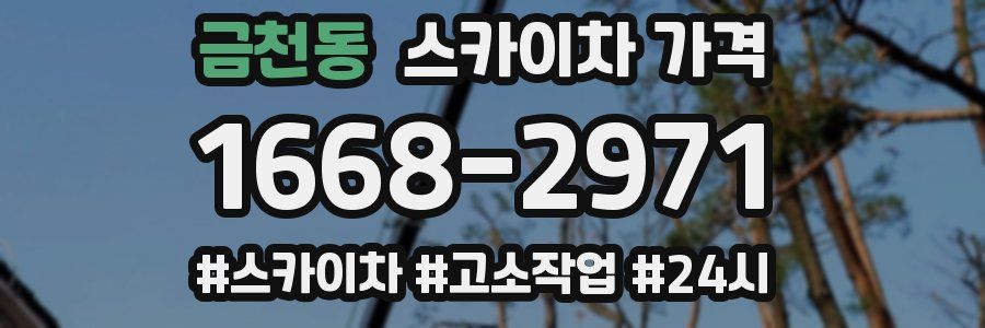 금천동 스카이차 가격