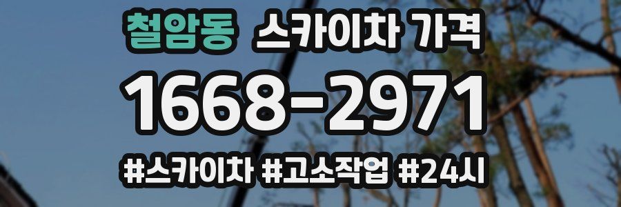 철암동 스카이차 가격