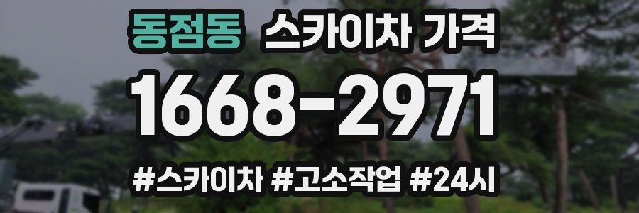 동점동 스카이차 가격