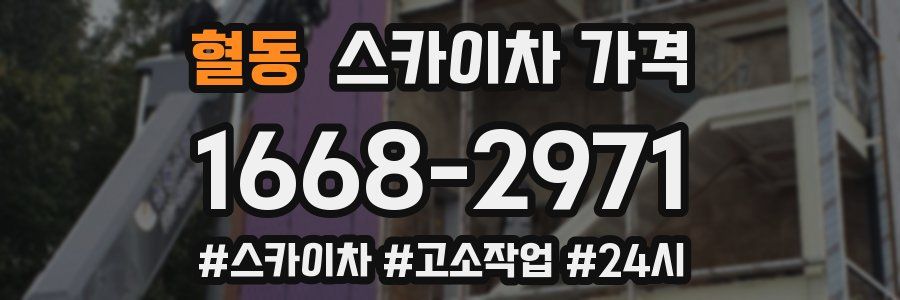 혈동 스카이차 가격