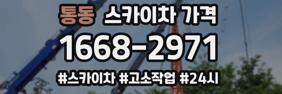 통동 스카이차 가격