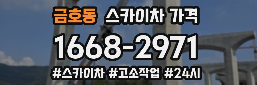 금호동 스카이차 가격