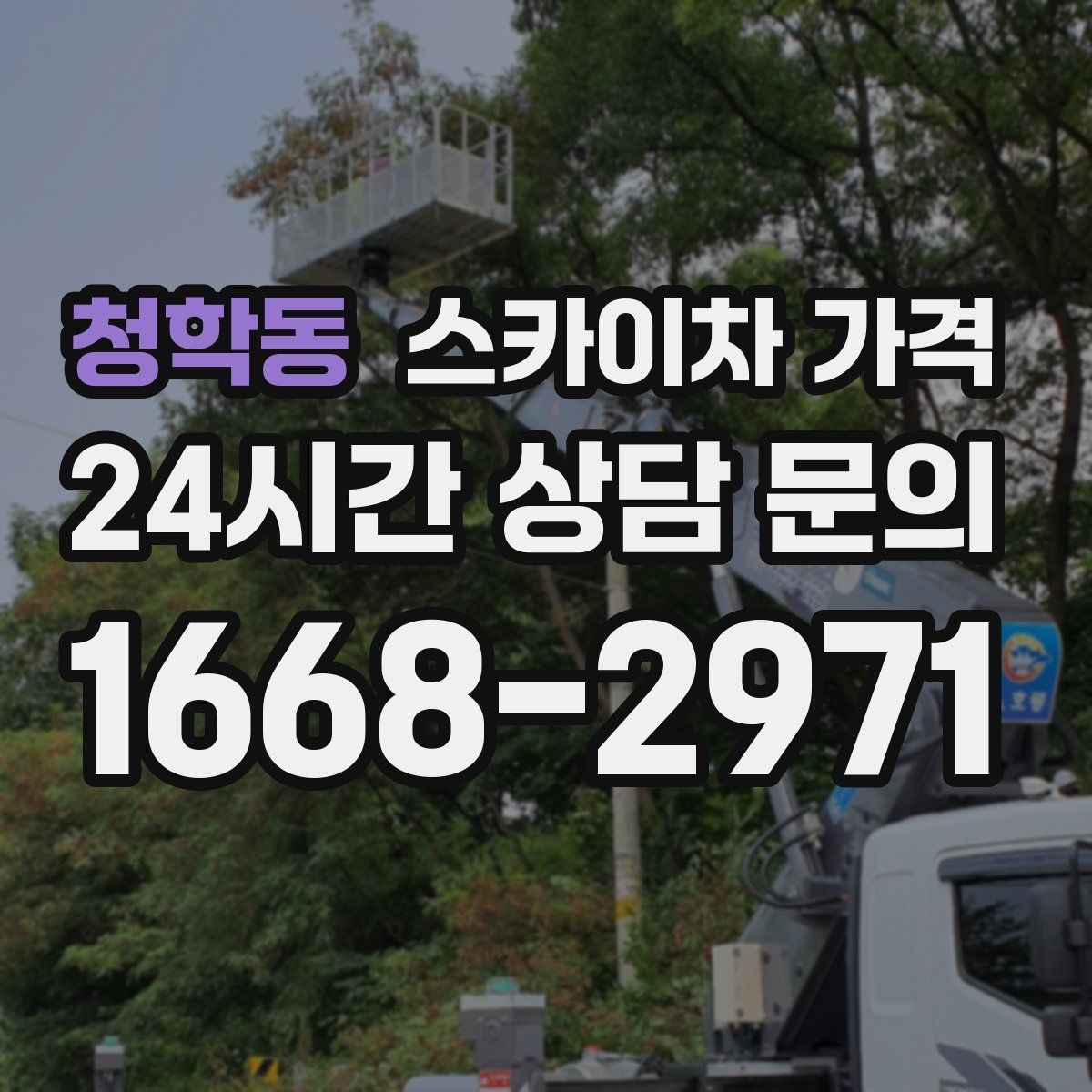 청학동 스카이차 가격 작업 내용과 난이도이 '점검'인지 '설치'인지가 중요한 이유