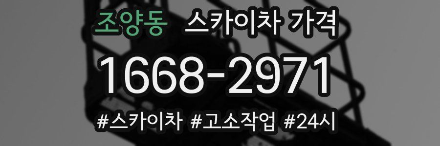 조양동 스카이차 가격