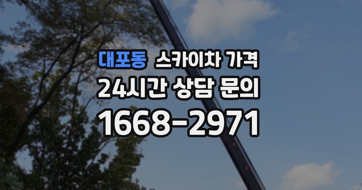 대포동 스카이차 가격