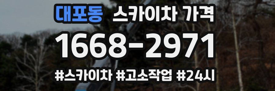 대포동 스카이차 가격