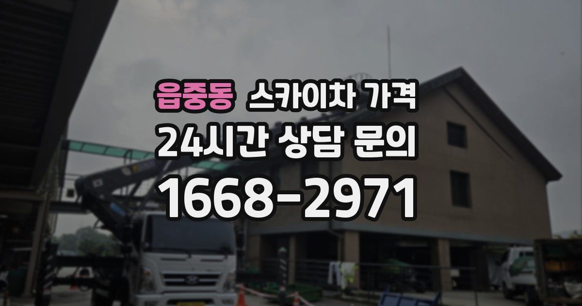 읍중동 스카이차 가격