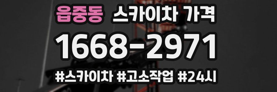 읍중동 스카이차 가격