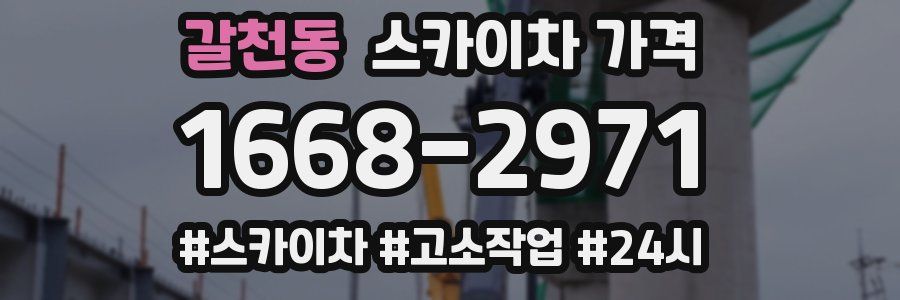 갈천동 스카이차 가격