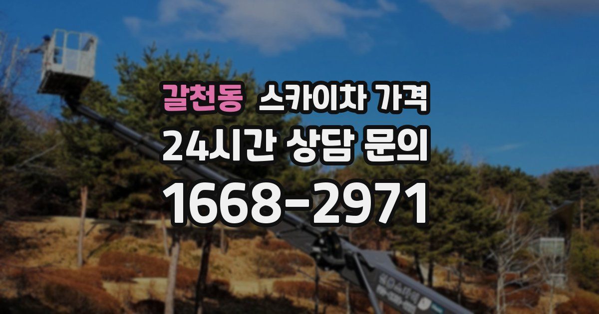 갈천동 스카이차 가격