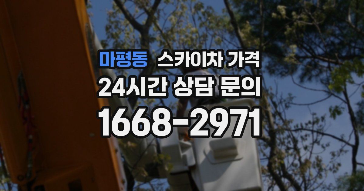 마평동 스카이차 가격