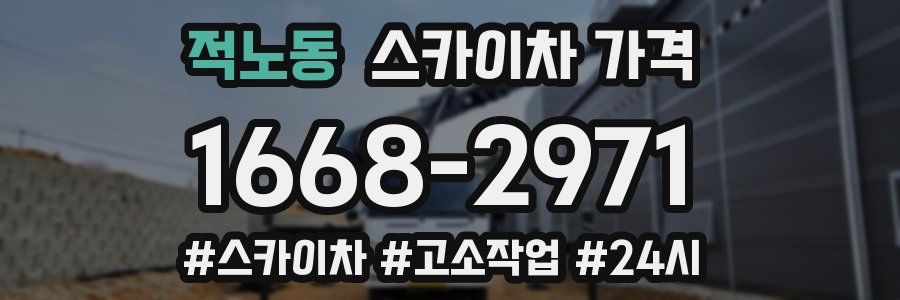 적노동 스카이차 가격