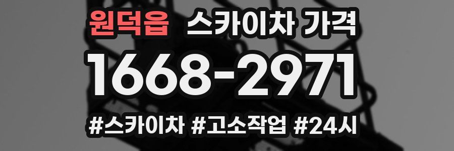 원덕읍 스카이차 가격