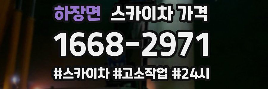 하장면 스카이차 가격