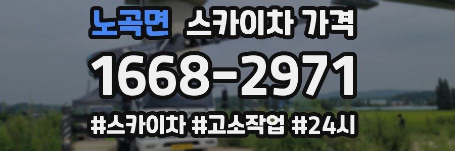 노곡면 스카이차 가격