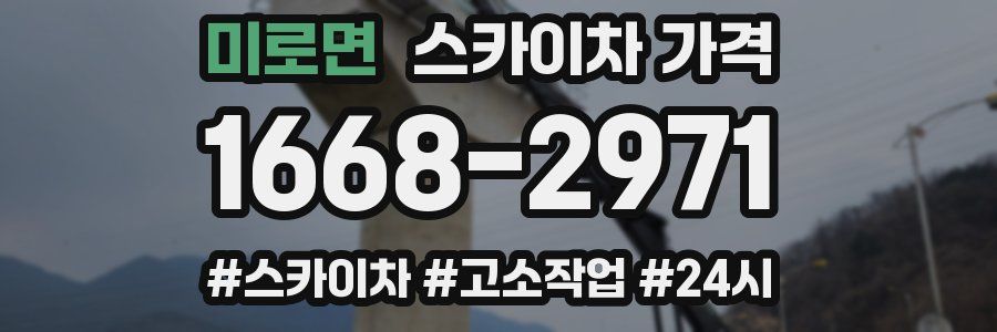 미로면 스카이차 가격