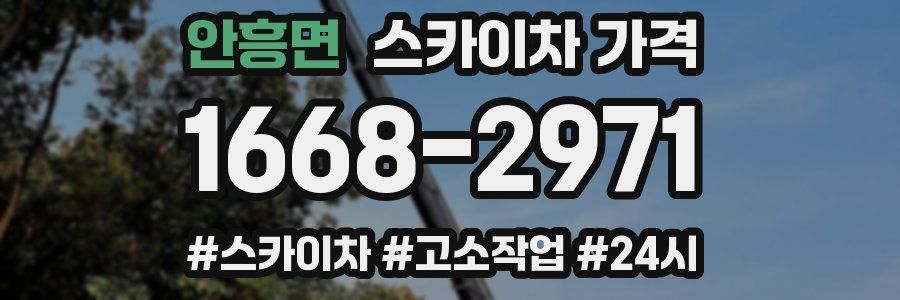 안흥면 스카이차 가격