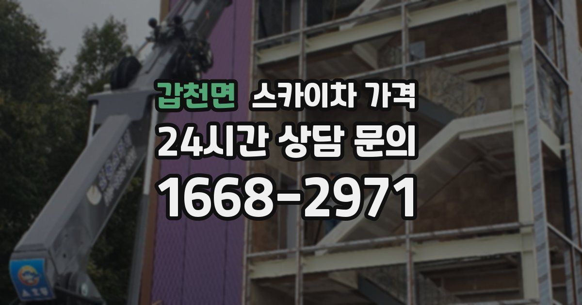 갑천면 스카이차 가격