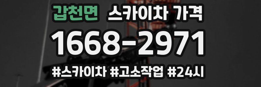 갑천면 스카이차 가격