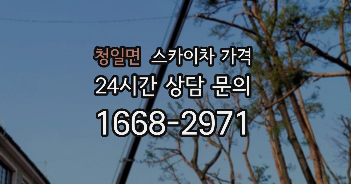 청일면 스카이차 가격