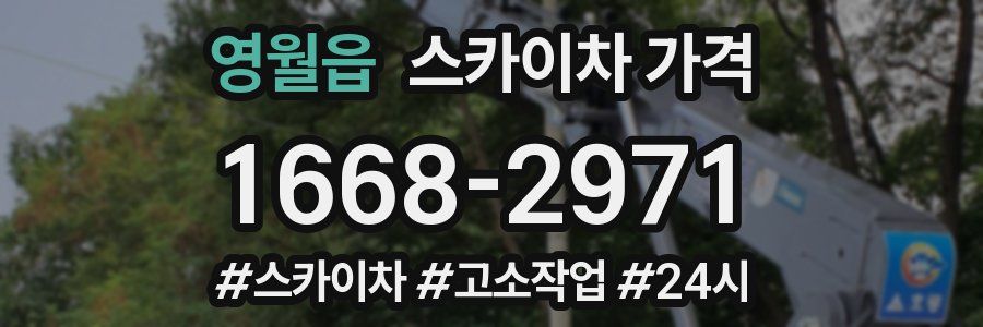 영월읍 스카이차 가격